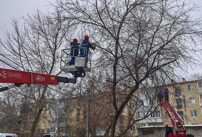 Опиловка деревьев в районе улиц Семинарская и Каширина